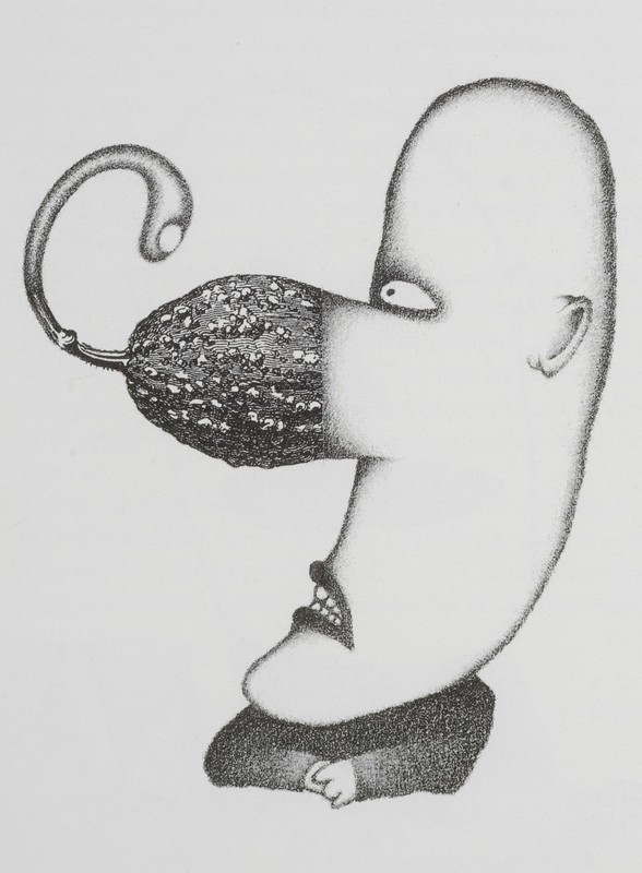 La courge (Le Nez).jpg
